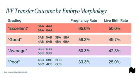 what are aaa embryos
